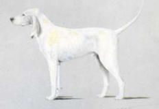 Porcelaine