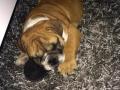 Jaba, mon Amour de Garcon! Jaba, mon Amour de Garcon!