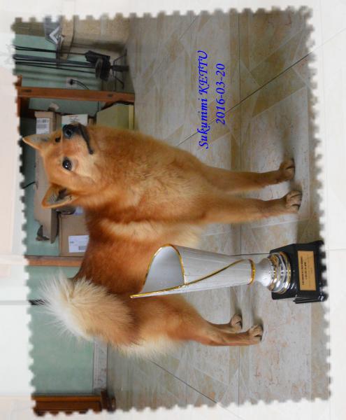 Of Artic Cobaka