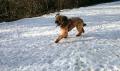 BRIARD LES PLUS ET LES MOINS BRIARD LES PLUS ET LES MOINS